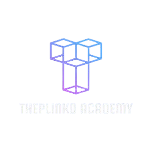 Theplinko Academy